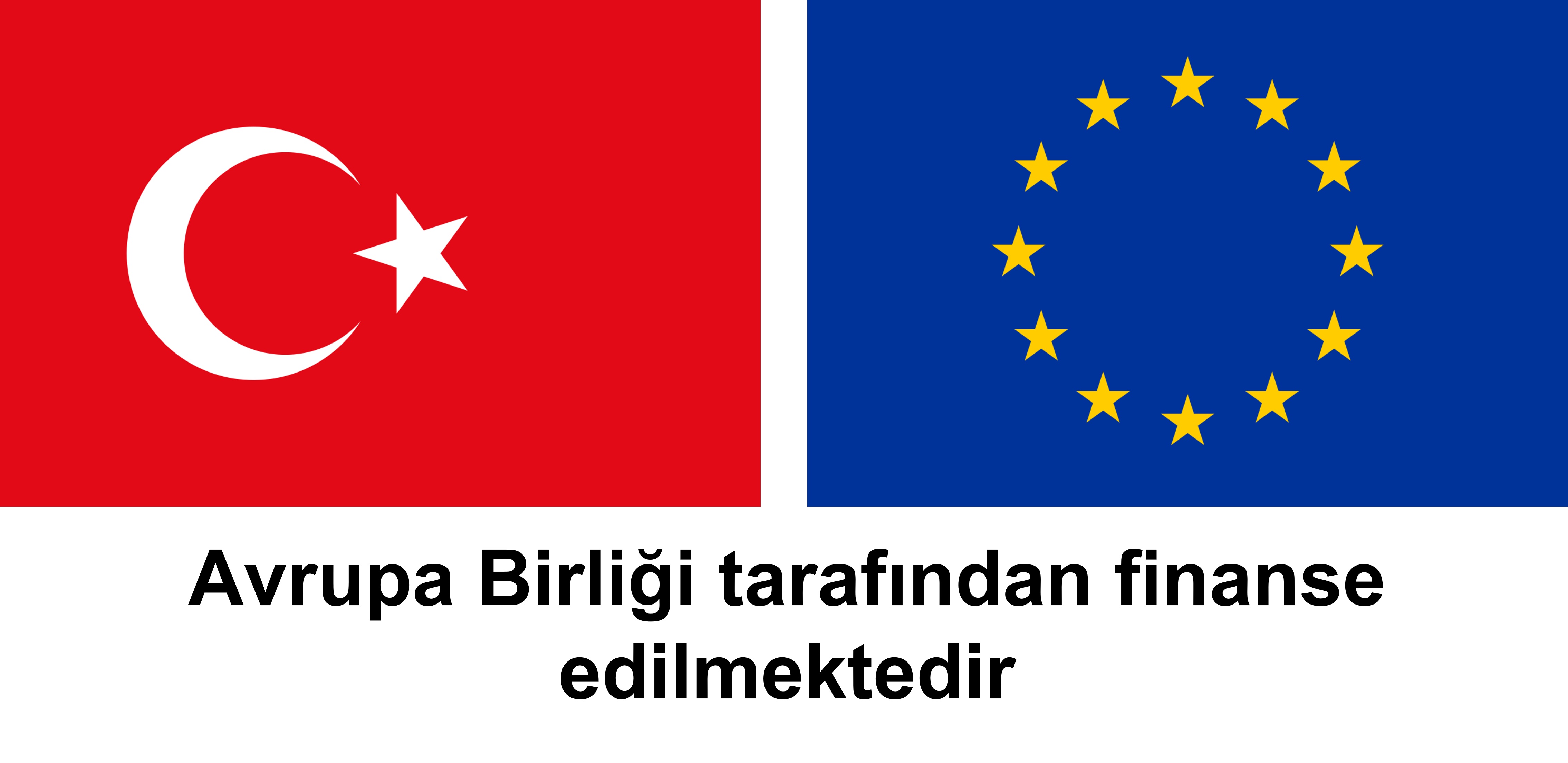 Türkiye - Avrupa Birliği Ortaklık Logosu